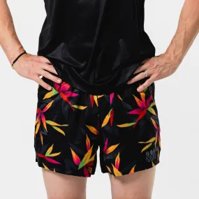 Men's Print Running Shorts | Bird of Paradise