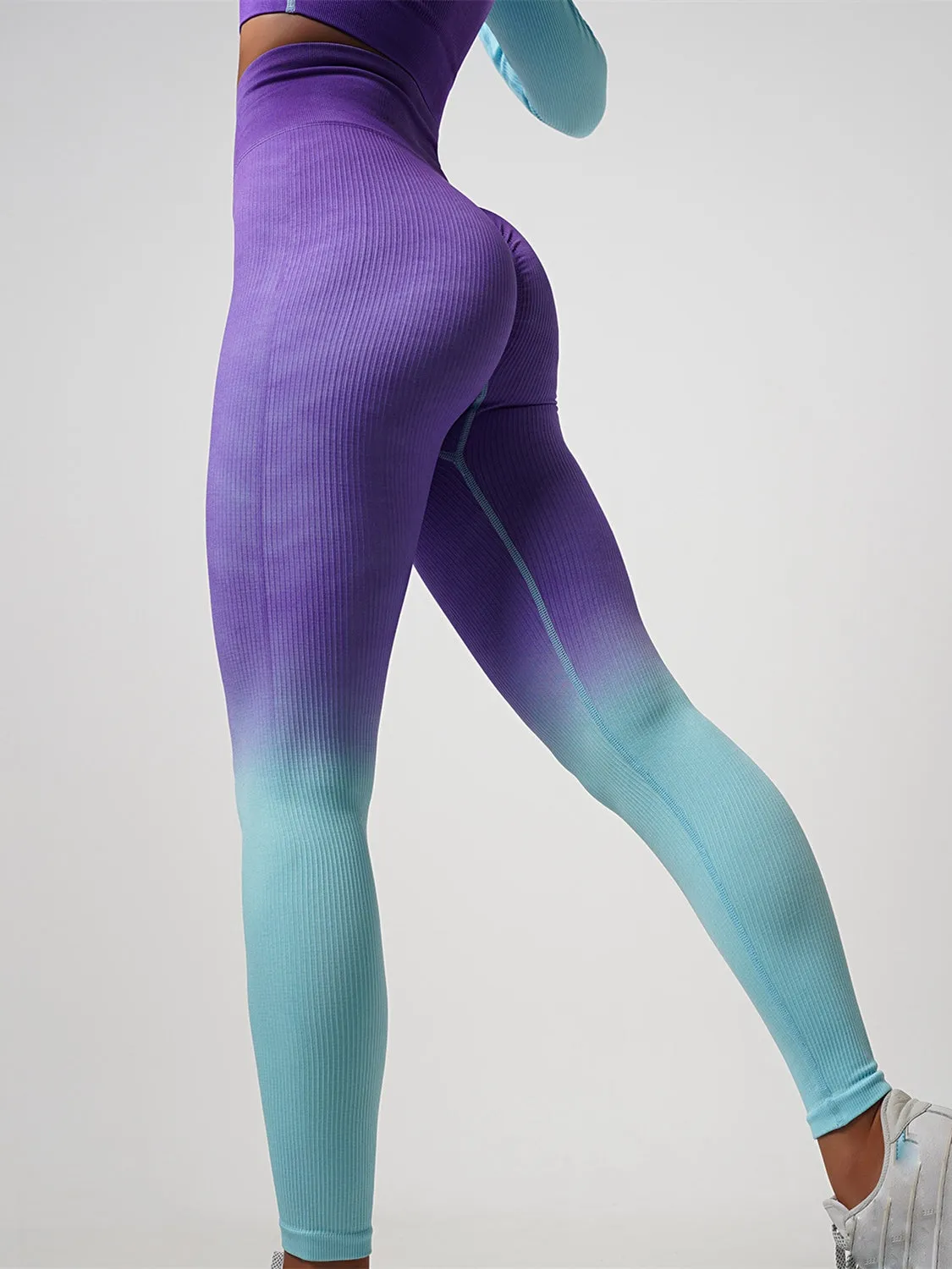 ZASUWA Female Fantasy Ombre Ribbed Sports Bras